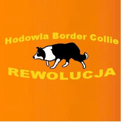 Hodowla Border Collie – Rewolucja