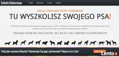 Szkolenie psów Łódź – z dojazdem do klienta – tresura w domu