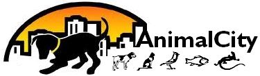 Najlepszy internetowy sklep zoologiczny Animalcity.pl