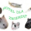 Prowadzimy hotel dla małych zwierząt.