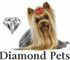 Diamond Pets
