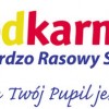 logo-bdkarma