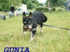 Gunia new (4)