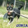 Gunia new (3)