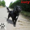 Lucy (6)