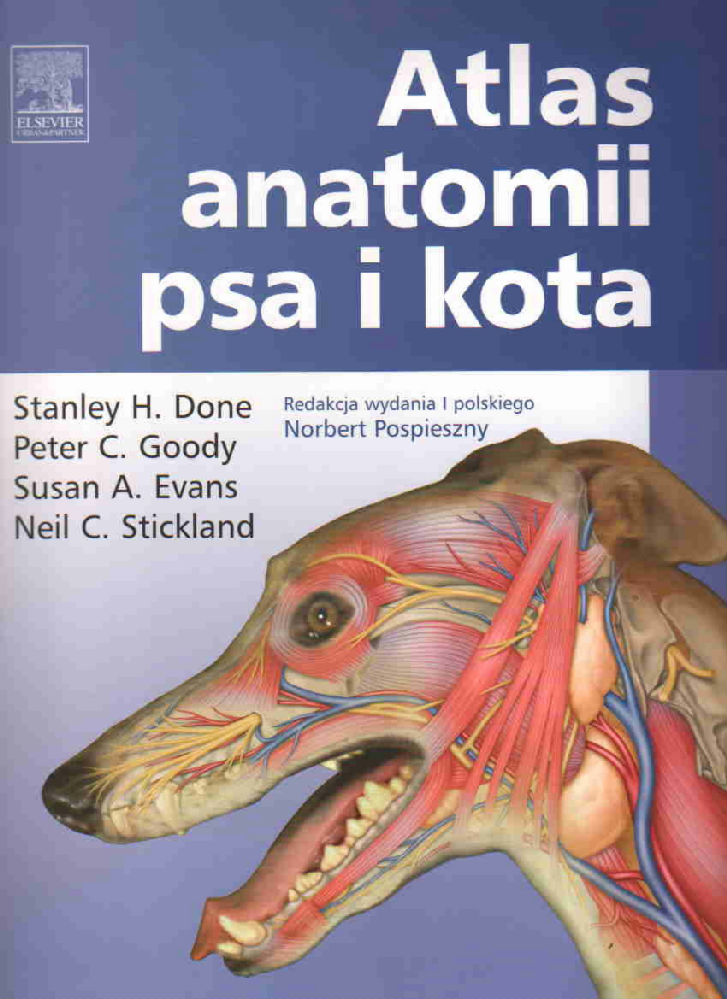i-atlas-anatomii-psa-i-kota