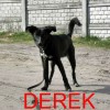 1 Derek z napisem
