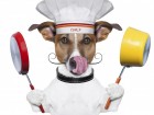 iStockphoto_Thinkstock_dog_chef-large